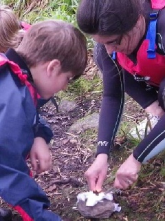 Survival skills